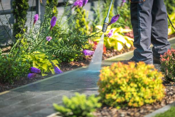 Professional Pressure Washing in Indian Hills, KY